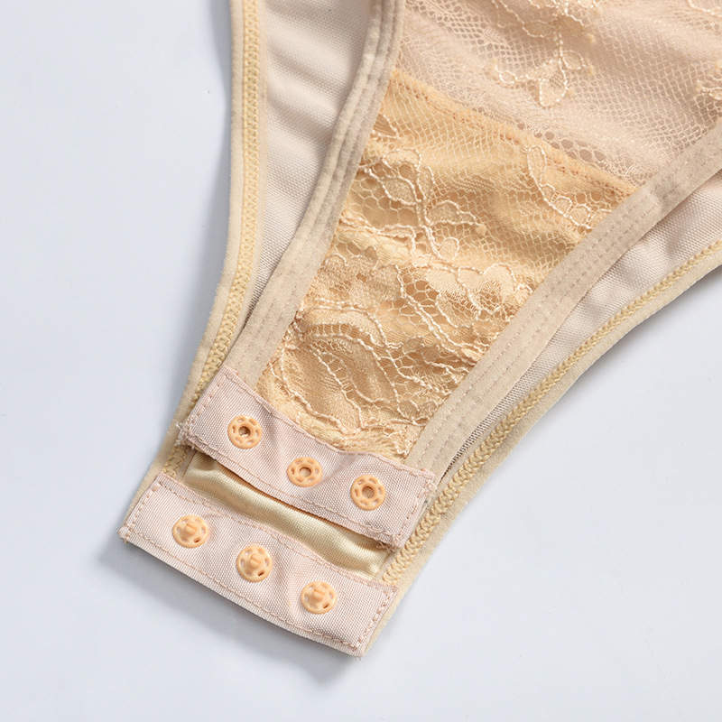 Artemis | Lace mesh teddy bodysuit
